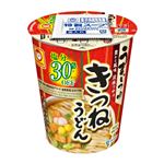 東洋水産  うまいつゆ塩分オフうどん  69g