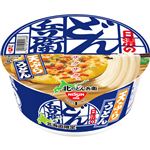 【6／27（金）～6／30（月）配送限定】日清食品 北のどん兵衛 天ぷらうどん 95g