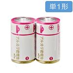 トップバリュ アルカリ乾電池 単1形2個入り