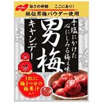 ノーベル製菓 男梅キャンデー 80g