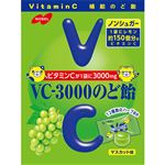 ノーベル VC3000のど飴 マスカット味 90g
