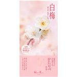 日本香堂 かたりべ 白梅 バラ詰 100g
