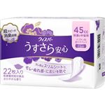 P＆Gジャパン ウィスパー うすさら安心 快適の中量用 45cc 22枚