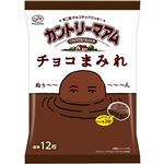 不二家 カントリーマアム チョコまみれ 122g
