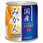 国産みかん295g