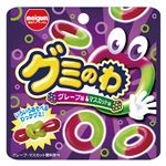 明治チューインガム グミのわ グレープ味＆マスカット味 22g