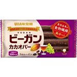 UHA味覚糖 ビーガンカカオバー ラムレーズン 1本