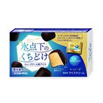 モンテール 氷点下のくちどけ シュークリーム風アイス 5個入（60ml）