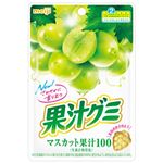 明治 果汁グミマスカット 54g