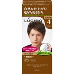 マンダム LUCIDO（ルシード）ワンプッシュケアカラー 4 ライトブラウン 1個