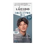 マンダム LUCIDO（ルシード）デザインヘアカラー クールアッシュ 1個