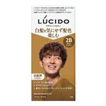 マンダム LUCIDO（ルシード）デザインヘアカラー モダンブラウン 1個