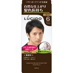 マンダム LUCIDO（ルシード）ワンプッシュケアカラー ダークブラウン 1個