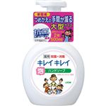 【泡タイプ】ライオン キレイキレイ 薬用泡ハンドソープ シトラスフルーティの香り本体 大型サイズ 500ml