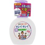 【泡タイプ】ライオン キレイキレイ 薬用泡ハンドソープ フローラルソープの香り 本体 大型サイズ 500ml