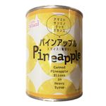 三菱食品パインアップル 565g