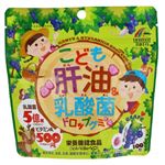 リケン こども肝油＆乳酸菌ドロップグミ ぶどう味 100粒
