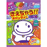 ライオン菓子 きえちゃうキャンディ 79g