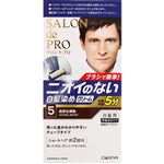 ダリヤ サロンドプロ 無香料ヘアカラー メンズスピーディ（白髪用）5 自然な褐色 1個
