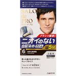 ダリヤ サロンドプロ 無香料ヘアカラー メンズスピーディ（白髪用）6 自然な黒褐色 1個