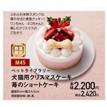 【クリスマス】【M45】ペットライブラリー 犬猫用クリスマスケーキ苺のショートケーキ