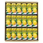 【冬ギフト】【387】【12／8以降配送限定】宮崎県農協果汁日向夏ドリンク18缶ギフト