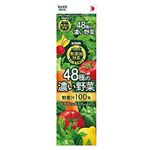 キリン 無添加野菜48種の濃い野菜100 1000ml