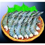 【8／29（金）～8／31（日）配送限定】ミャンマー産 ブラックタイガーえび（養殖・冷凍）16／20サイズ 10尾