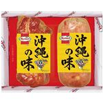 【夏ギフト】【8／11（月）以降配送】【594】沖縄ホーメル沖縄の味セットN-1約0.5kg