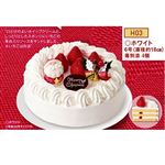 【クリスマス】【H03】【早得】オキコ早得ホワイトクリスマス6号