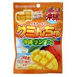オキコ グミんちゅ 沖縄マンゴー味 40g