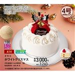 【クリスマス】【A14】オキコホワイトクリスマス4号
