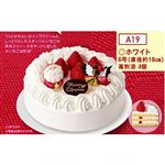 【クリスマス】【A19】オキコホワイトクリスマス6号