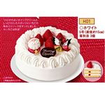 【クリスマス】【H01】【早得】オキコ早得ホワイトクリスマス5号