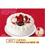 【クリスマス】【A17】オキコホワイトクリスマス5号