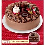 【クリスマス】【A18】オキコチョコクリスマス5号