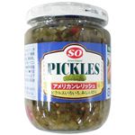 SO アメリカンレリッシュ 235g