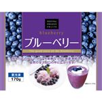 富士通商 カナダ産ブルーベリー 170g