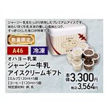【クリスマス】【A46】【冷凍】オハヨー乳業ジャージー牛乳アイスクリームギフト10個入り