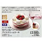 【クリスマス】【A43】【冷凍】オハヨー乳業生チョコ＆ベリーのアイスクリームケーキ5号