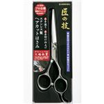 グリーンベル 匠の技 ステンレス ヘアカットはさみ G‐5020