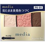 カネボウ化粧品 メディア グラデカラーアイシャドウN PK－01 3.1g