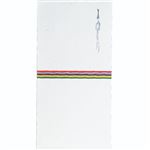 スズキ紙工 お祝用金封 万型 五色 10枚入