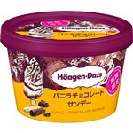 ★ハーゲンダッツ ミニカップ バニラチョコレートサンデー 110ml