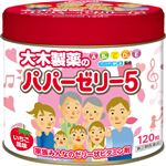 【指定第2類医薬品】大木製薬 パパーゼリー5 120粒