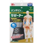 興和 バンテリンコーワサポーター 腰用 ブラック 男女兼用 大きめLサイズ 1枚