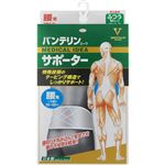 興和 バンテリンコーワサポーター 腰用 シャイニンググレー ふつうMサイズ 男女兼用 1枚