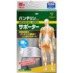 興和 バンテリンコーワサポーター 腰用 シャイニンググレー 大きめLサイズ 男女兼用 1枚