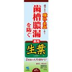 小林製薬 生葉d 100g