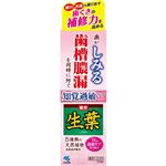 小林製薬 生葉Sa 知覚過敏ケアタイプ 100g